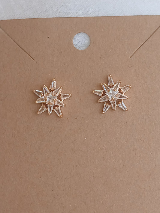 Star Stud Earring