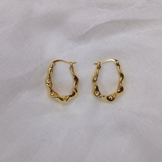 Twisted Hoop Earrings